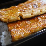 うなぎ秋本 - 特撰 共水うなぎ