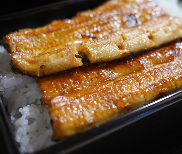 Unagi Akimoto, Tokyo, Japan