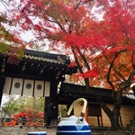 あぶり餅 本家 根元 かざりや - 