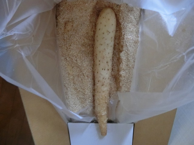 (有)道下広長農場 - 中札内村その他（その他）の写真