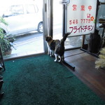 フライドチキン - 捨て猫の三毛おばあちゃん