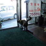 フライドチキン - 捨て猫の三毛おばあちゃん