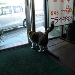 フライドチキン - 捨て猫の三毛おばあちゃん