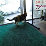 フライドチキン - 