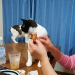 フライドチキン - 食べてみた（1個200円）