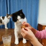 フライドチキン - 食べてみた（1個200円）