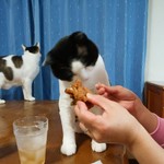 フライドチキン - 食べてみた（1個200円）