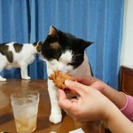 フライドチキン - 食べてみた（1個200円）