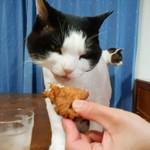 フライドチキン - 食べてみた（1個200円）