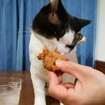 フライドチキン - 食べてみた（1個200円）