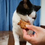 フライドチキン - 食べてみた（1個200円）