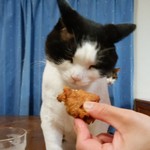 フライドチキン - 食べてみた（1個200円）