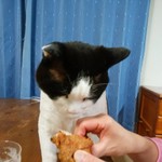 フライドチキン - 食べてみた（1個200円）