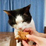 フライドチキン - 食べてみた（1個200円）