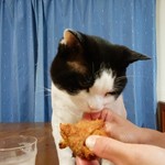 フライドチキン - 食べてみた（1個200円）