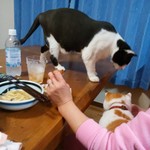 フライドチキン - 食べてみた（1個200円）