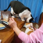 フライドチキン - 食べてみた（1個200円）