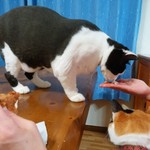 フライドチキン - 食べてみた（1個200円）