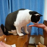 フライドチキン - 食べてみた（1個200円）