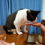 フライドチキン - 食べてみた（1個200円）