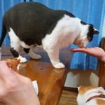 フライドチキン - 食べてみた（1個200円）