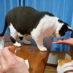 フライドチキン - 食べてみた（1個200円）