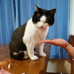 フライドチキン - 食べてみた（1個200円）