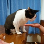 フライドチキン - 食べてみた（1個200円）