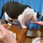 フライドチキン - 食べてみた（1個200円）