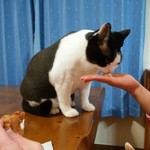 フライドチキン - 食べてみた（1個200円）