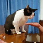 フライドチキン - 食べてみた（1個200円）