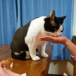 フライドチキン - 食べてみた（1個200円）