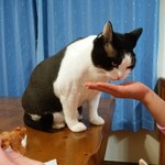 フライドチキン - 食べてみた（1個200円）