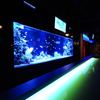  Bar BELIZE