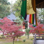 Yamamoto - 大覚寺