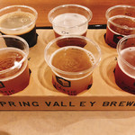 BEER TO GO by SPRING VALLEY BREWERY - 