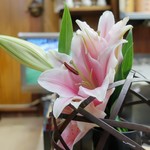 家庭料理 小川 - 