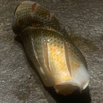 寿し おおはた - 