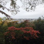 辻家庭園 - 