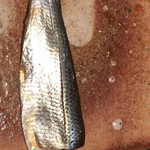 荒木町 きんつぎ - 