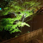 Shinnihon Ryouri Kanya - 部屋からの風景