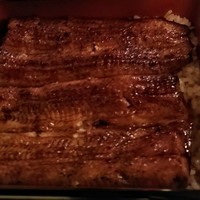 うなぎ川勢 - 