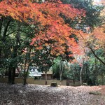 松籟庵 - 紅葉