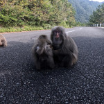 SANKARA HOTEL&SPA 屋久島 - 