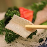 辰巳寿司 - キス