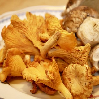 イルピアット カチャトラ_2