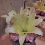 魚虎千両 - ∥WC∥ヽ(^^ゞ