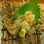 料心味力 秀 - 車海老おどり