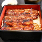 うなぎ 善 - 料理写真:☆うな重 3300円