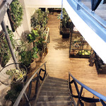 イランイラン ボタニカルグリーン&フラワー カフェ - 1階で受付し地下のカフェへ